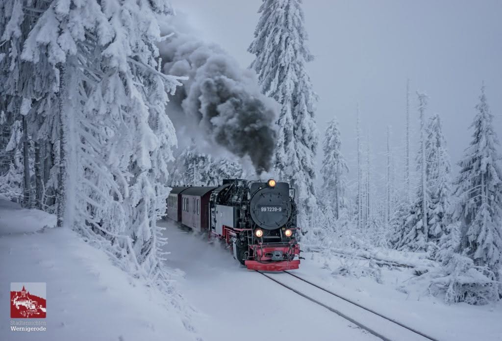 Harzer Schmalspurbahn auf dem Weg zum Brocken